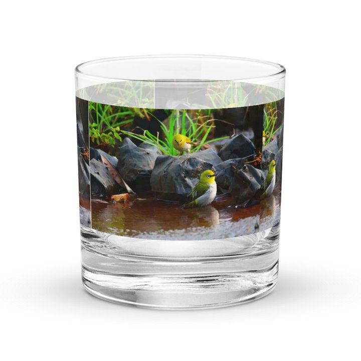 IUCAA Birds GLASS product image (2)