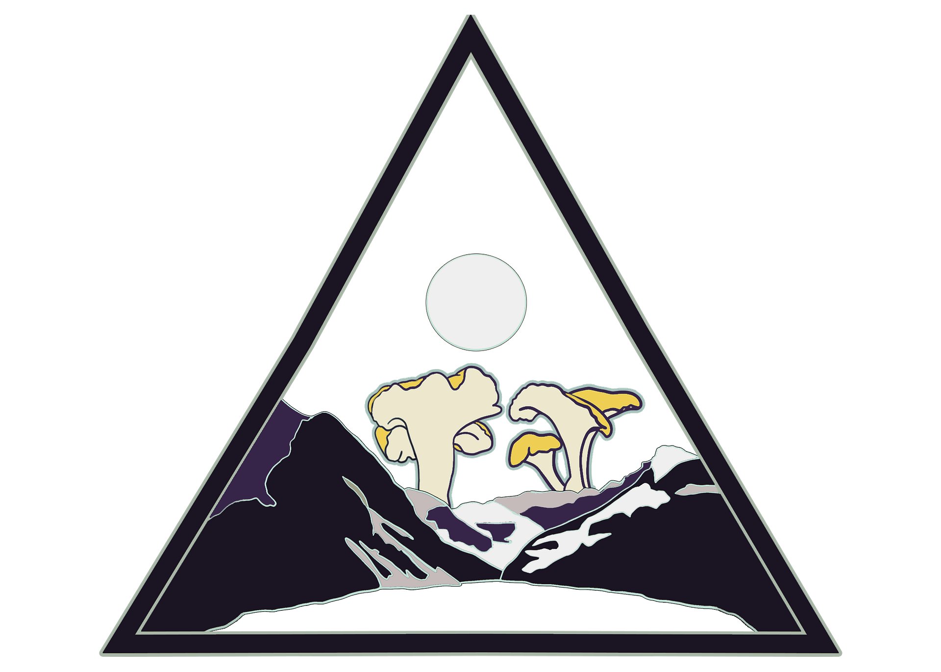 Midnight Mushrooms Tshirt product image (2)