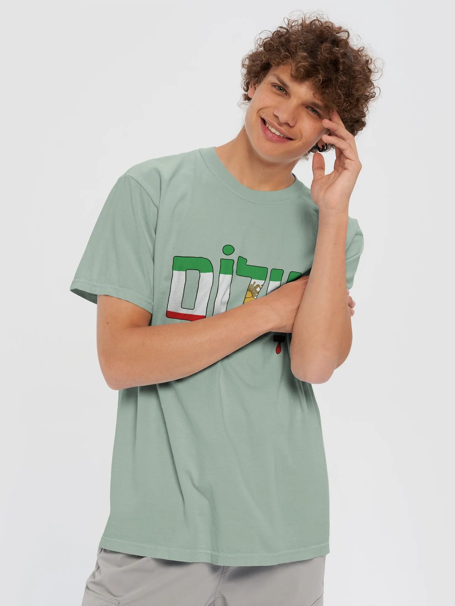 Shalom (שלום) in Iranian Flag (Pre Islamic) product image (5)