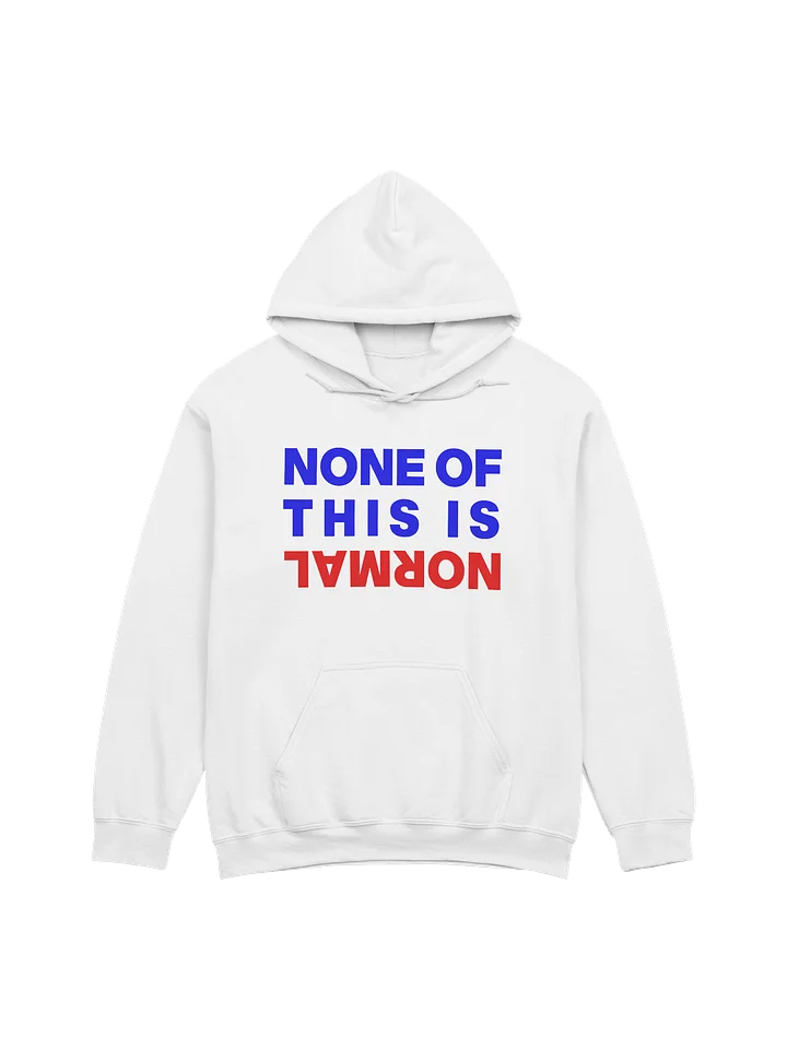 NONE OF THIS IS NORMAL - HOODIE product image (1)
