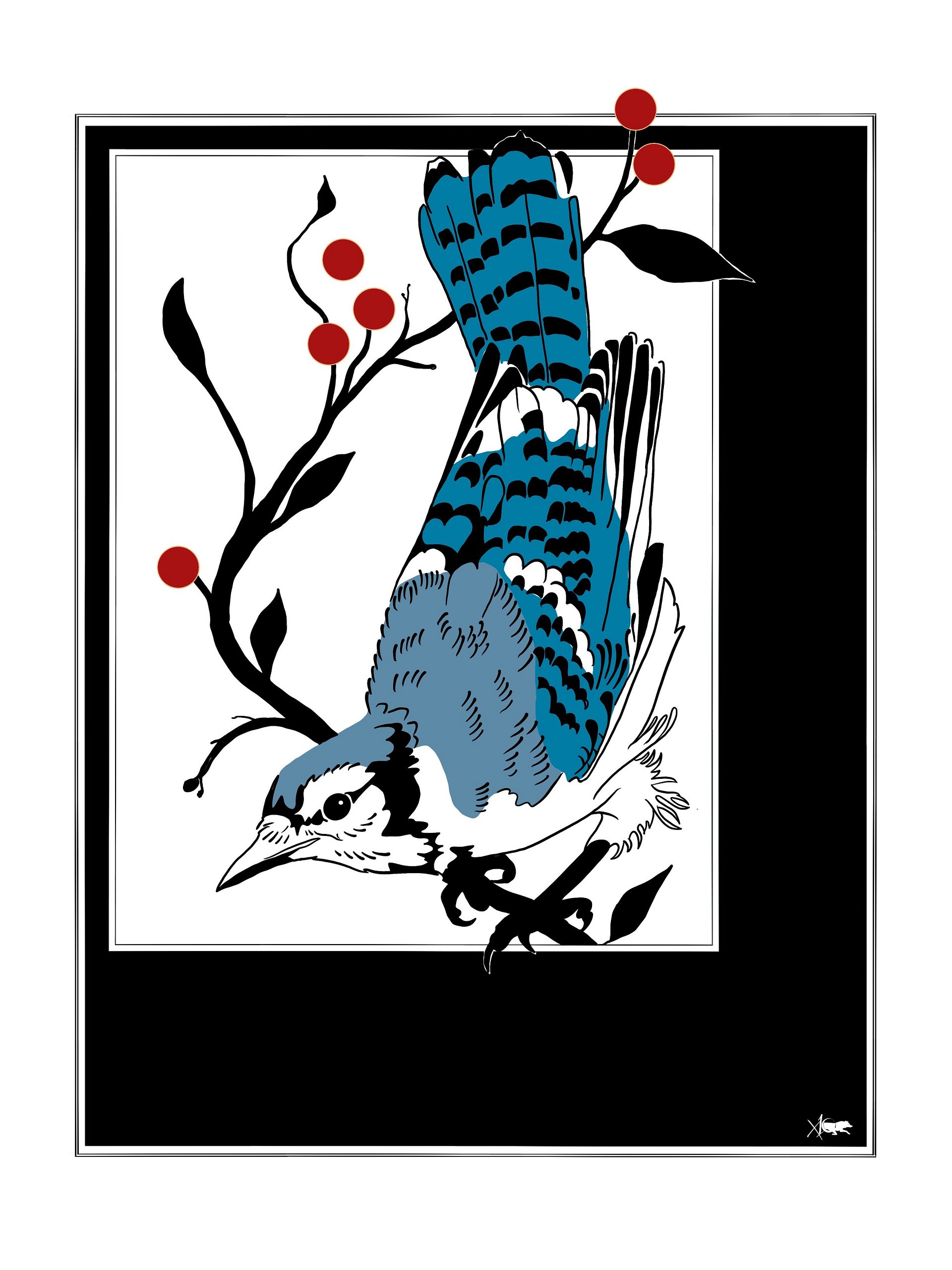 Bluejay product image (1)