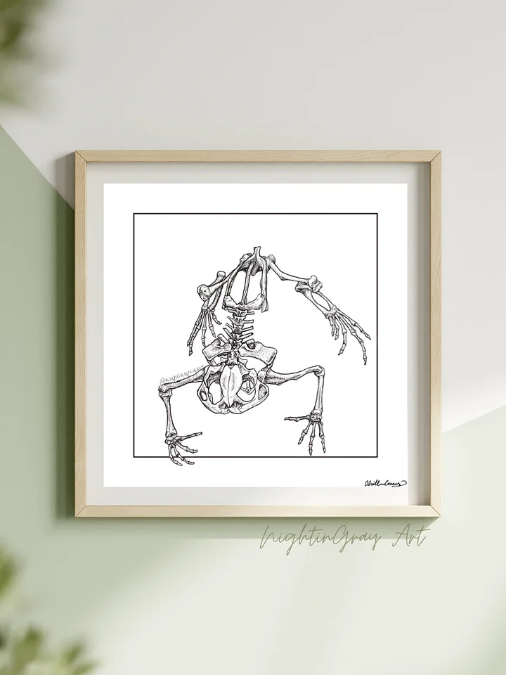 Toad Skeleton - Fine Art Print product image (1)