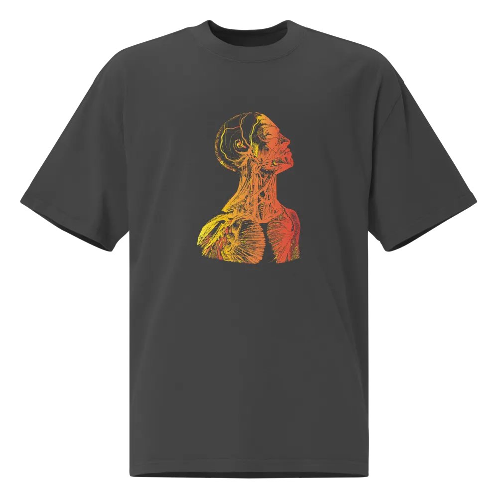 Anatomy - Head product image (1)