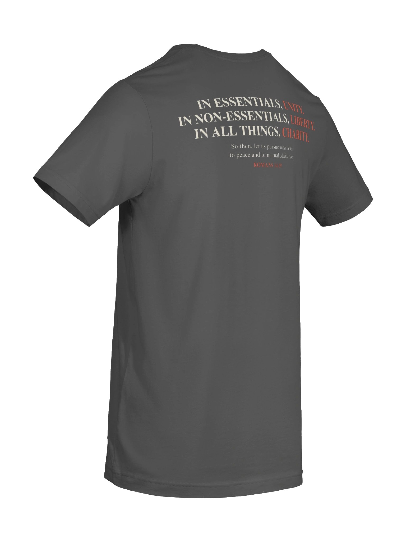 Foolish Controversies T-shirt product image (78)