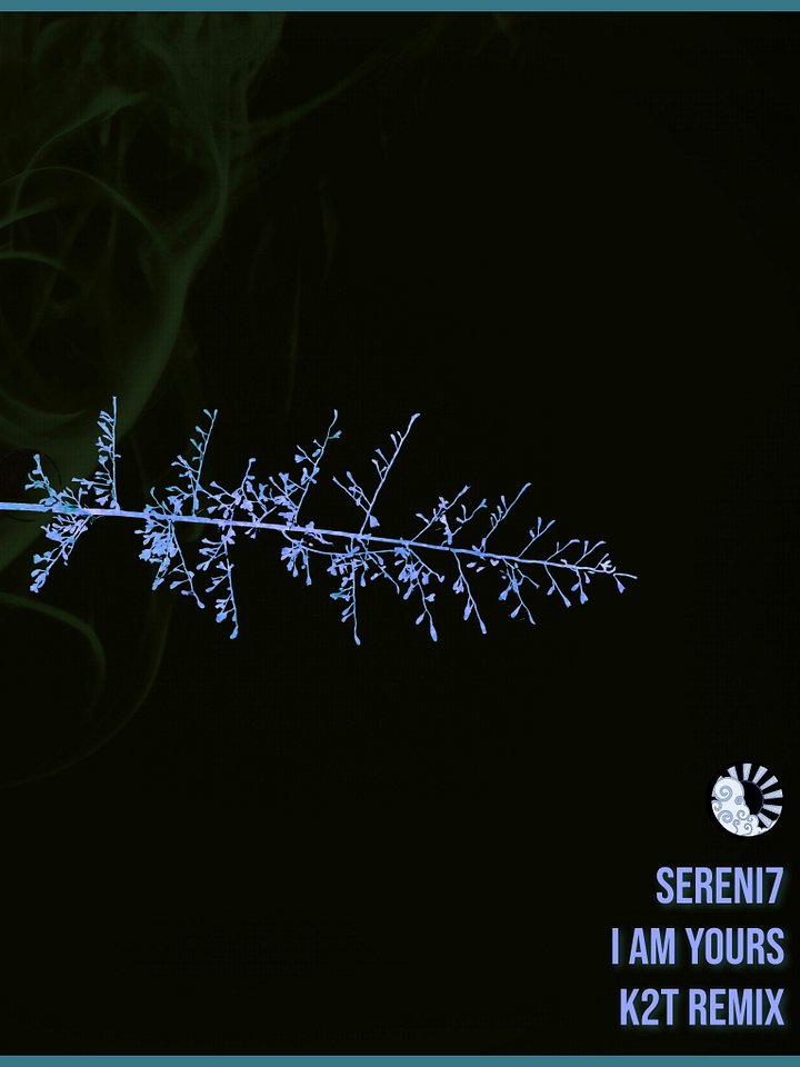 Sereni7 - I Am Yours (K2T Remix) product image (2)