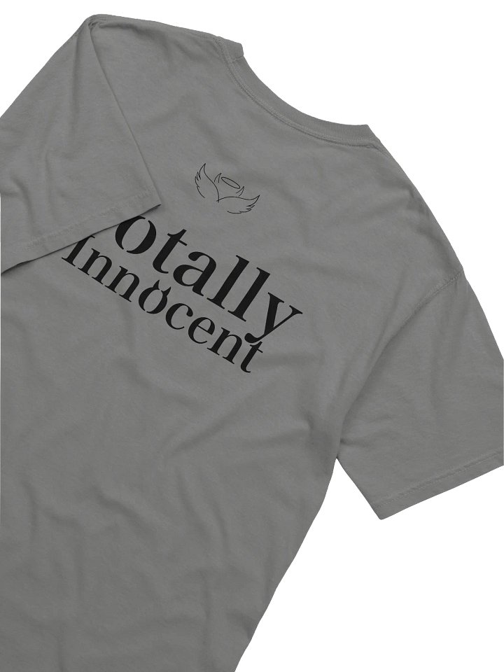 Totally Innocent Shirt product image (29)