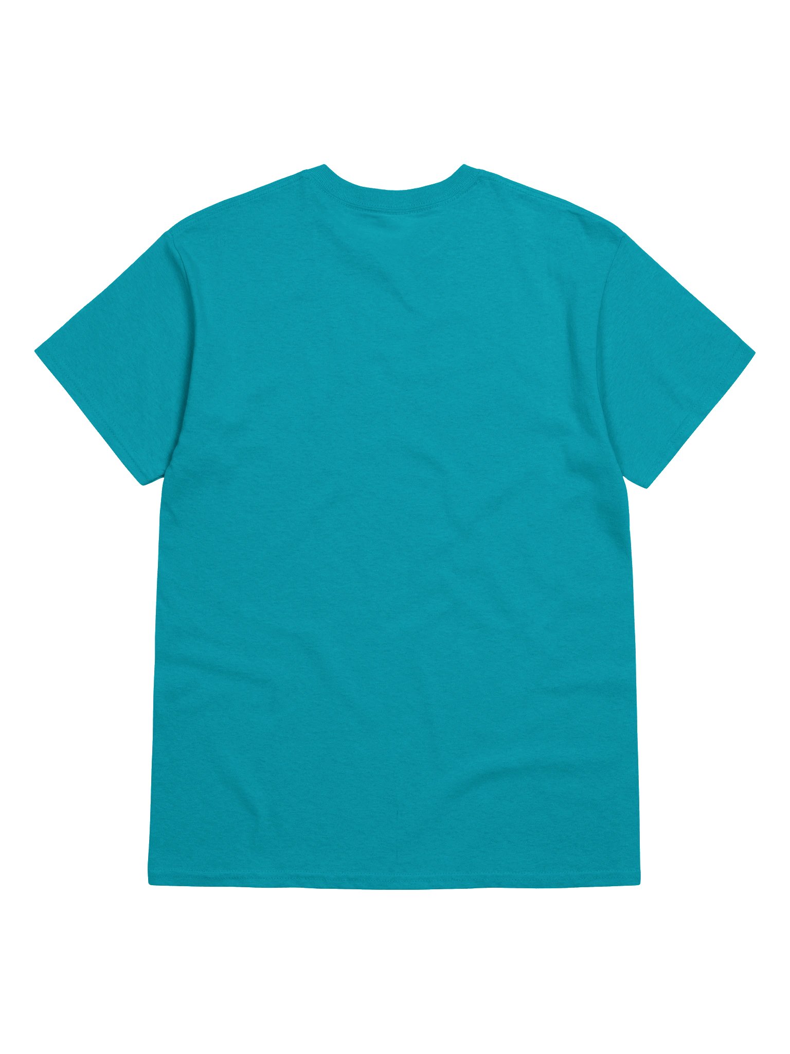 Sunfish 100% Cotton Tee product image (24)