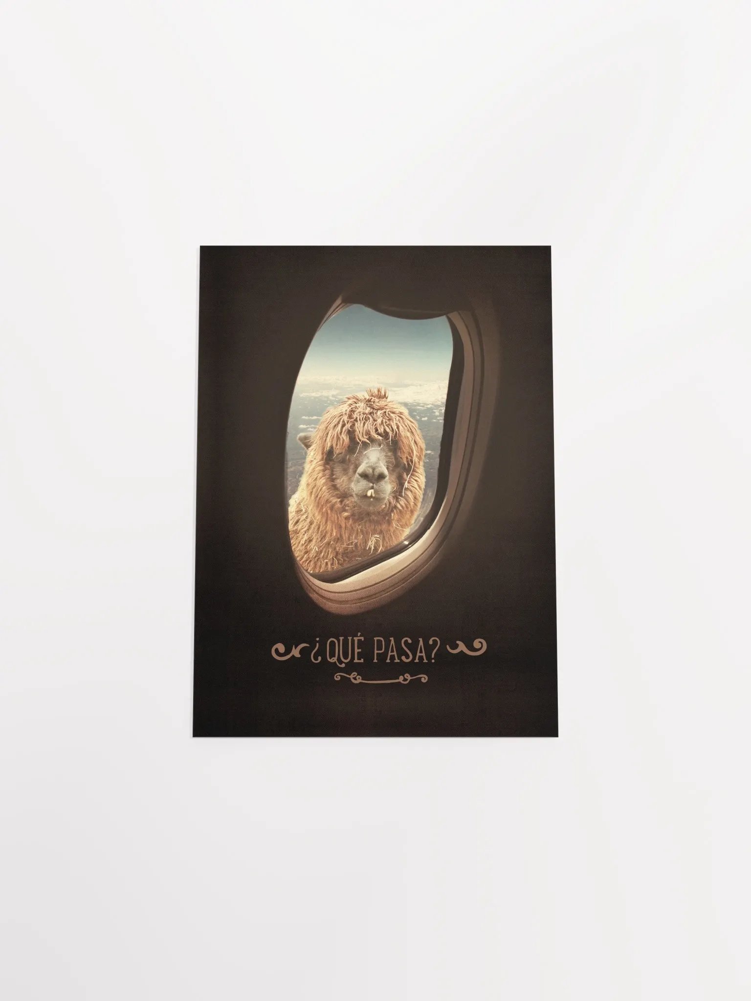 Llama's Perspective Poster "¿Que Pasa?" product image (33)