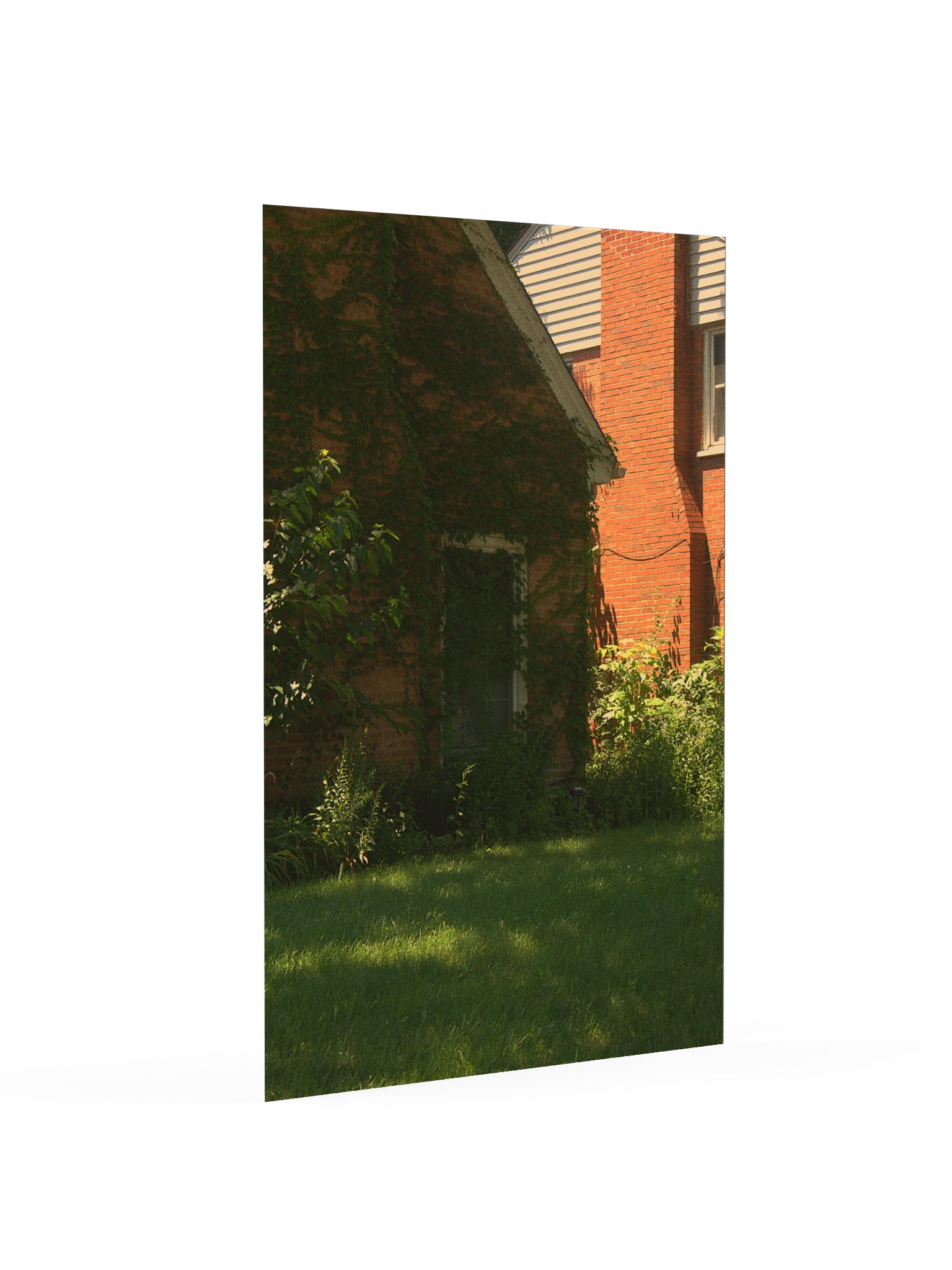overgrown product image (2)