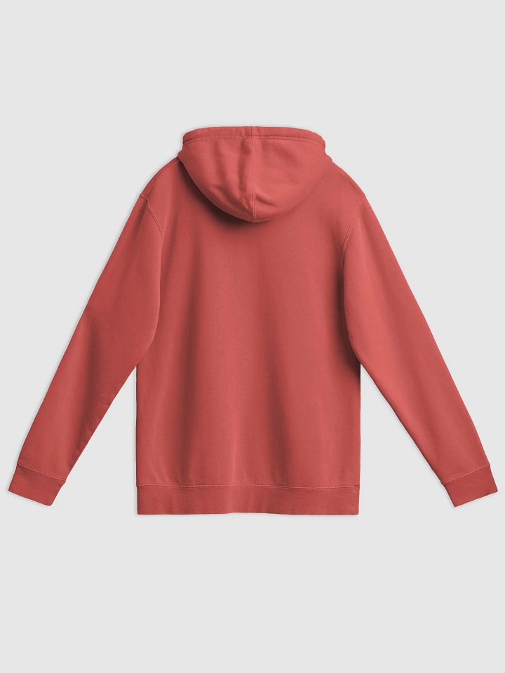 Bubbly and a B*tch (lined design, #6D1616 ) printed pigment hoodie product image (17)