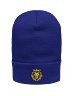 Blue &amp; Yellow Beanie