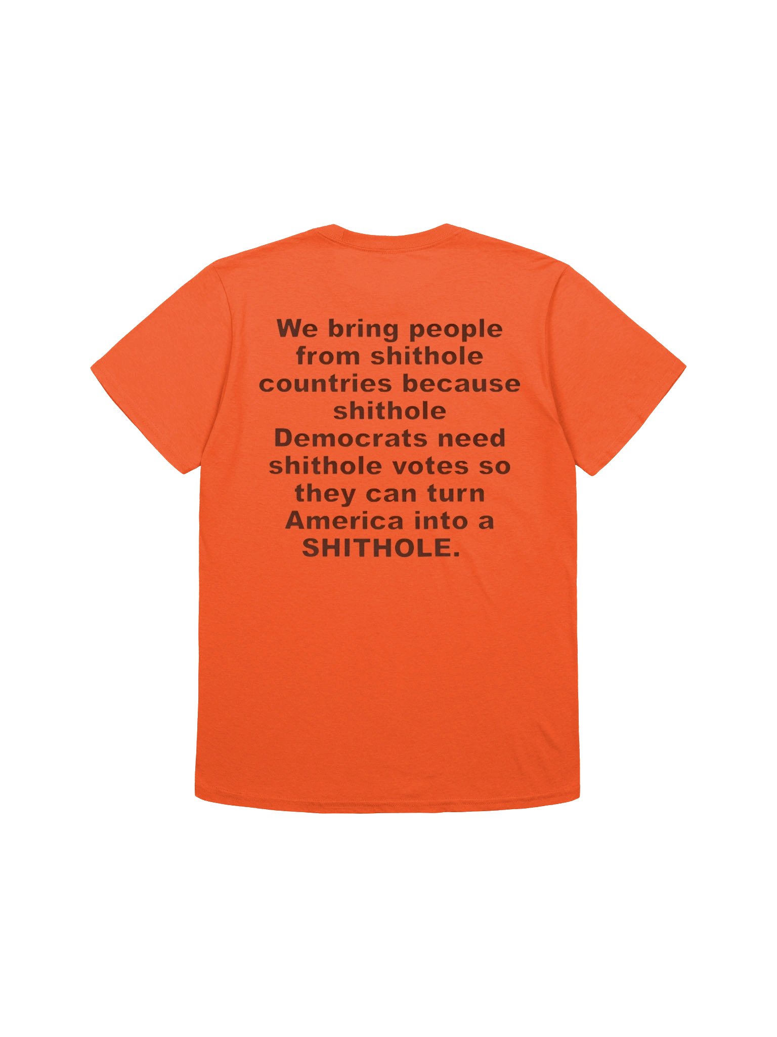 We Bring People From Shithole Countries Anti-Democrat Graphic Shirt product image (1)