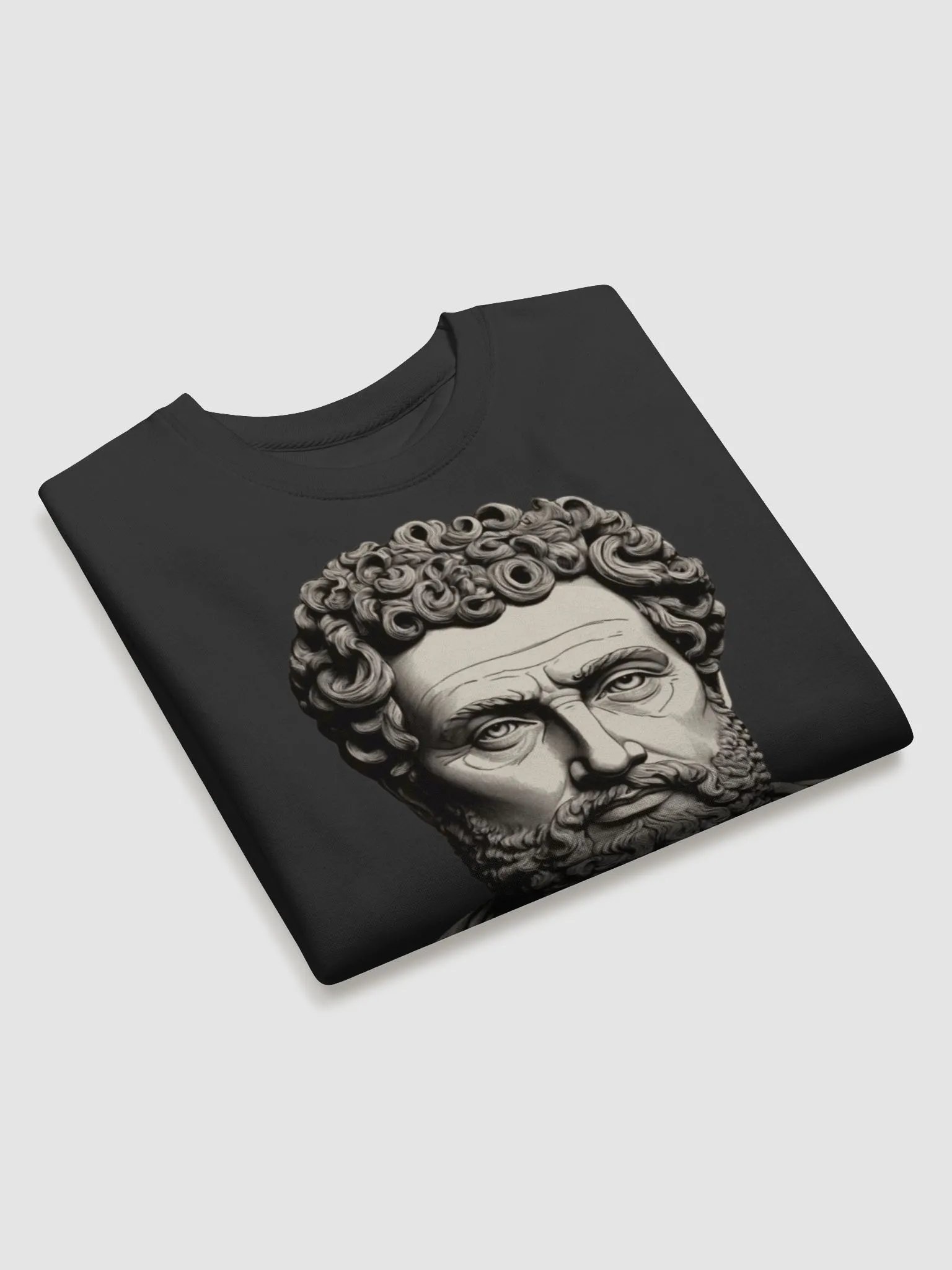 Sweatshirt stoic product image (3)