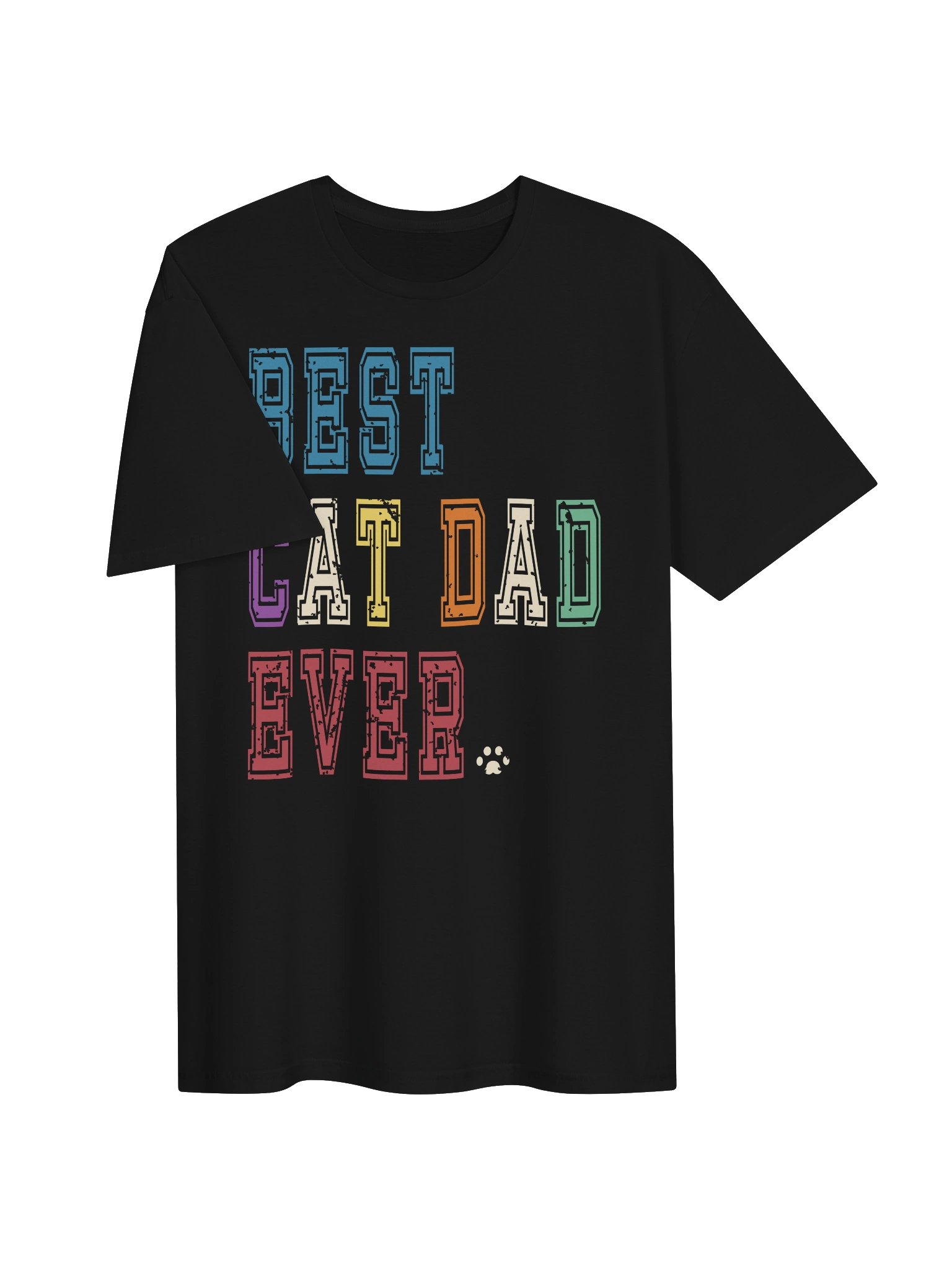 Best Cat Dad Ever 2 - Unisex Adult Super Soft Lightweight T-shirt product image (2)