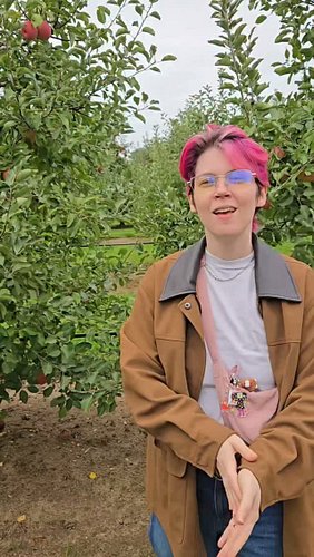 Care for an apple?