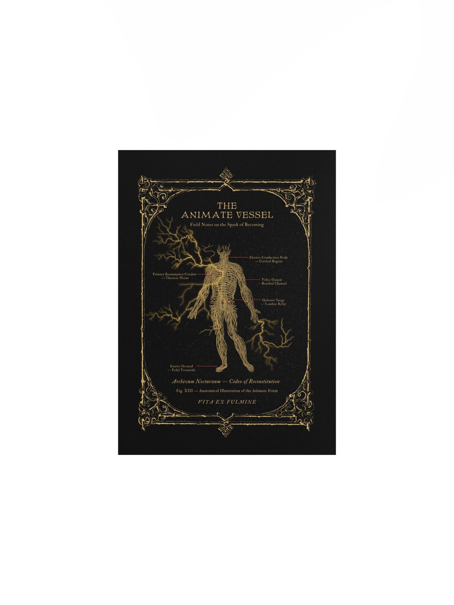 Gothic Anatomy Series: Animate Vessel XIII Poster Print product image (2)