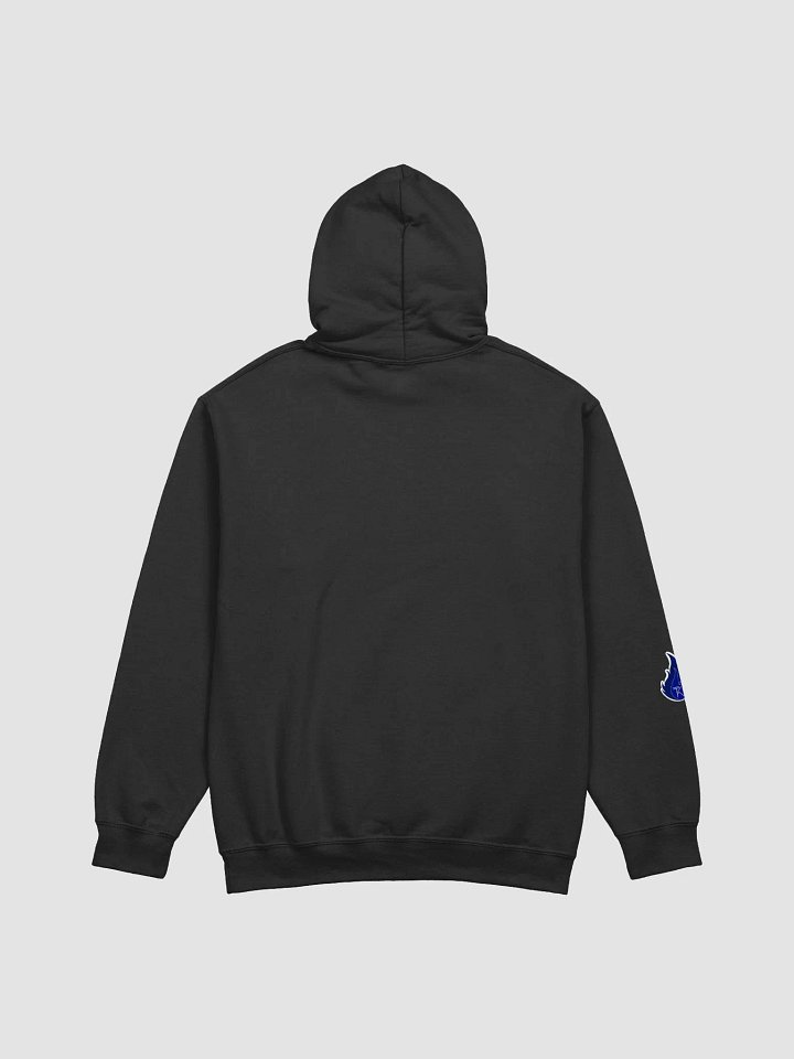 Tech Kahaani Hoodie product image (2)