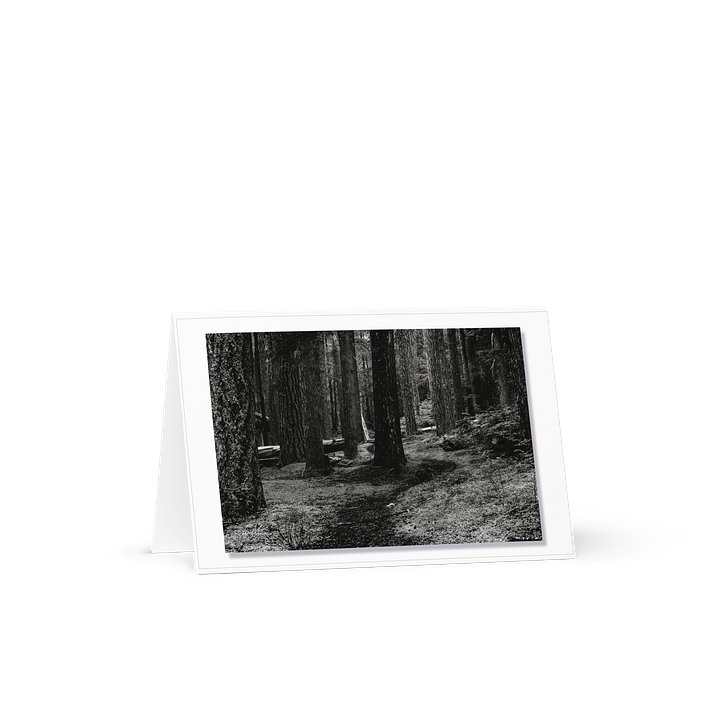 B&W in the Woods product image (1)