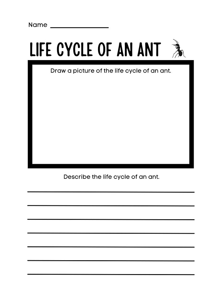 The Life Of Ants. Student research. PPTx. Reading Comprehension product image (2)
