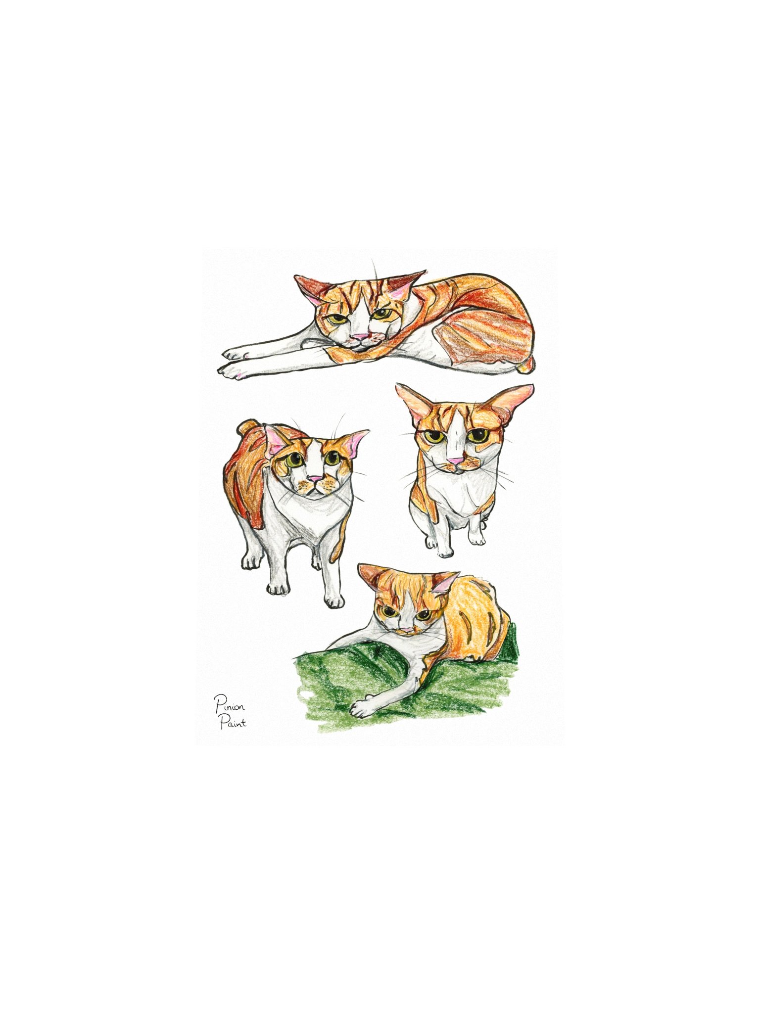 Sproot study print product image (8)
