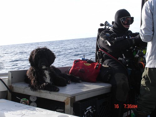 Throwing it back to Joe Mazraani (and his faithful dog Pirate) over U869 aboard DV Tenacious in the summer of 2012. If the be...