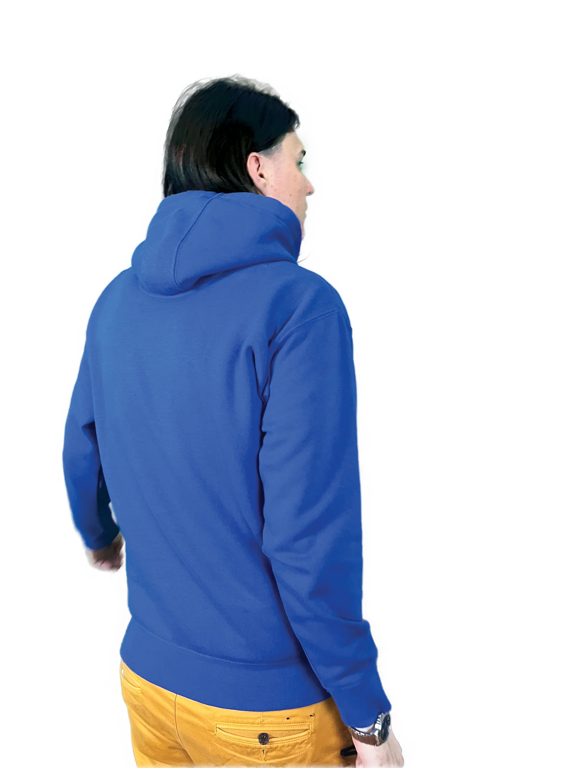 The spa named AE hood hoodie //DTFx heavyweight\\ product image (7)