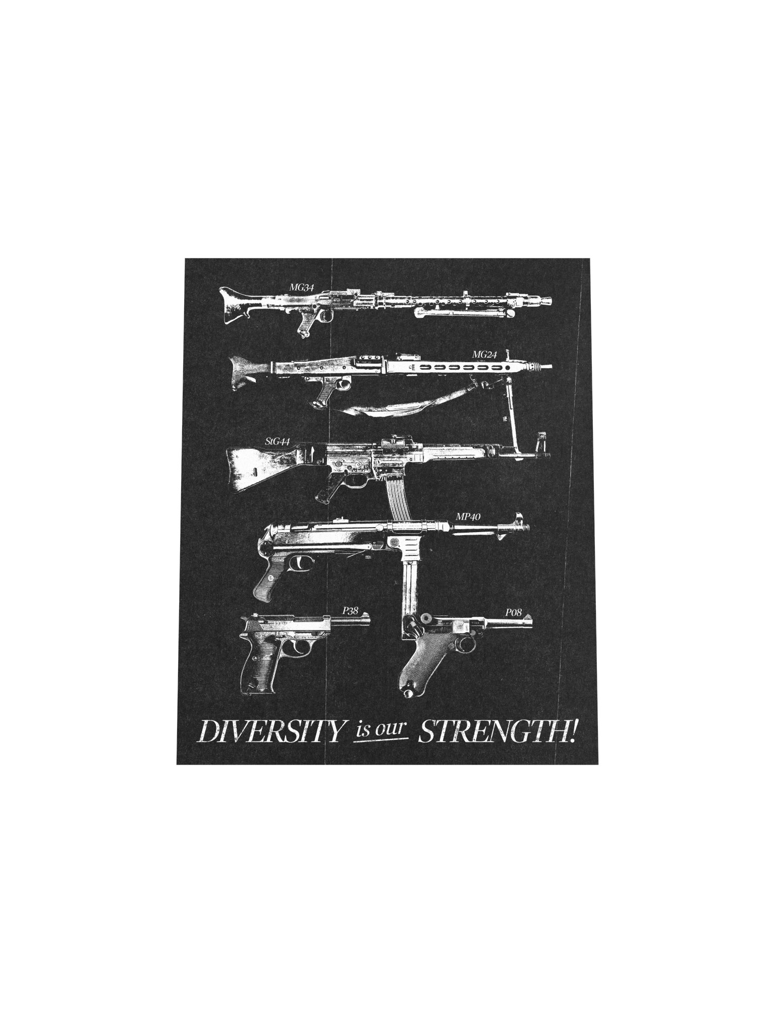 DIVERSITY IS OUR STRENGTH POSTER product image (11)