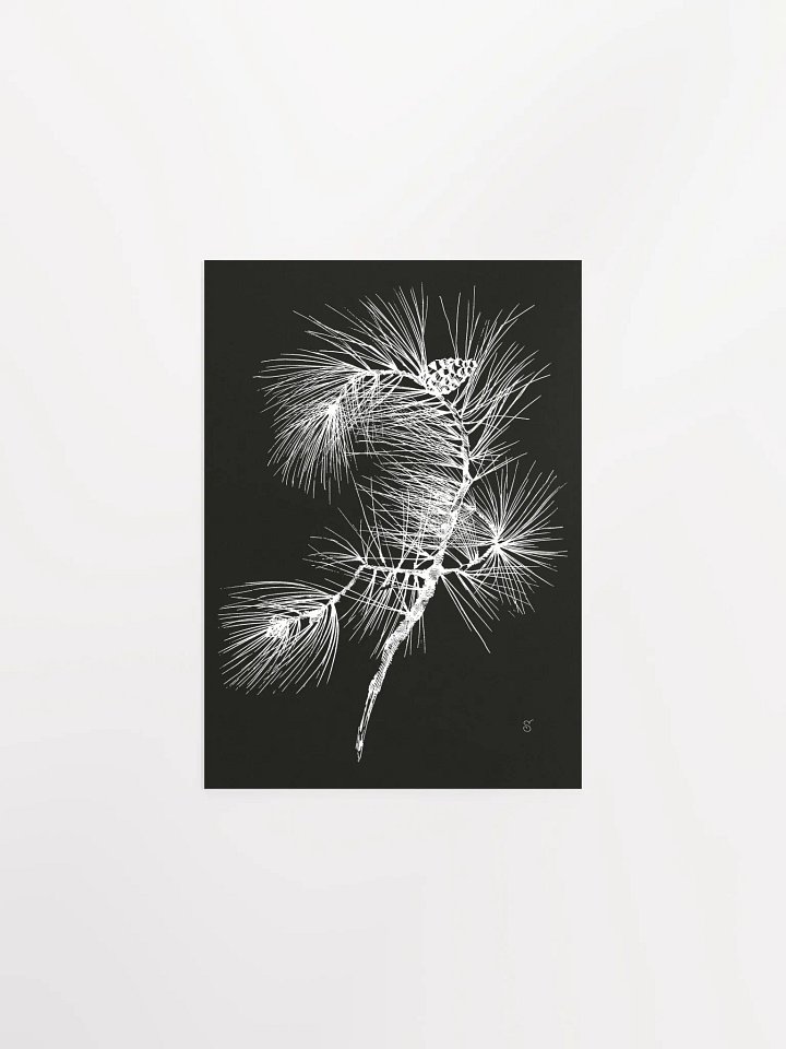 Whimsical Pine Branch Poster - Pine Branch Dark product image (1)