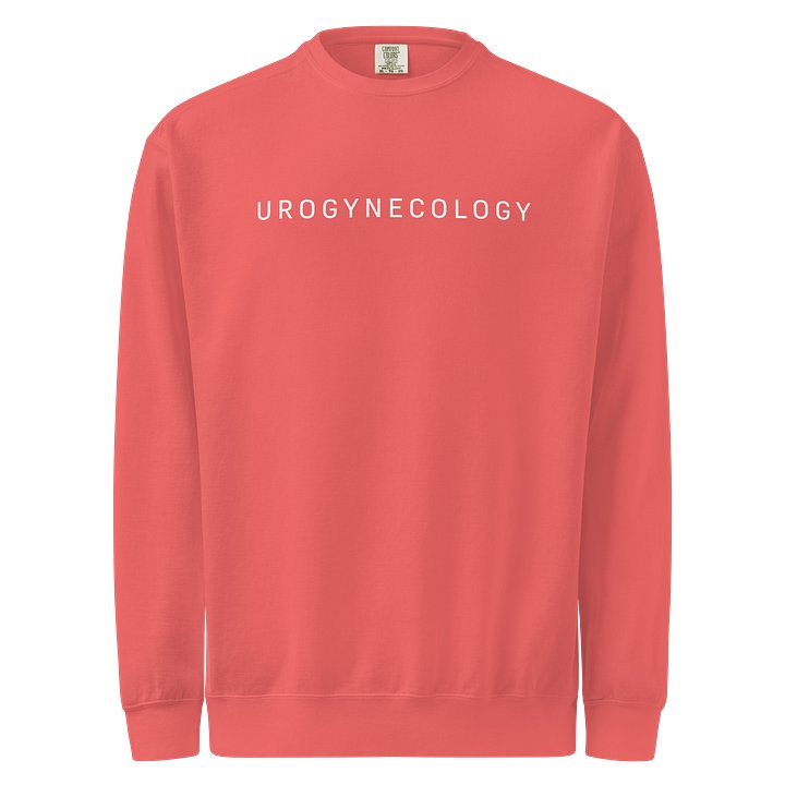 Urogynecology Comfort Colors Crewneck product image (33)