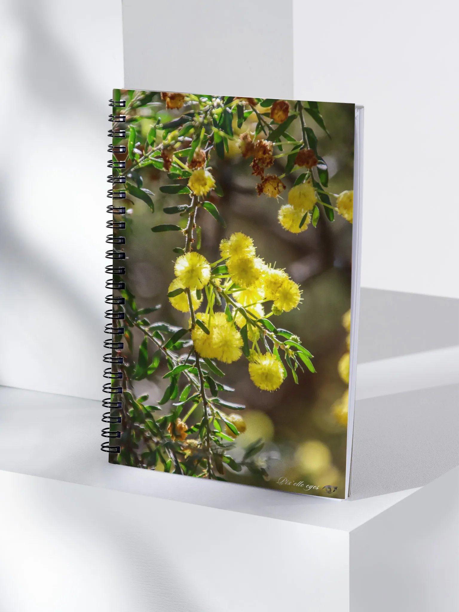 📓 Notebook Collection PURE – Jardin du Rayol – Pompons de Soleil product image (4)