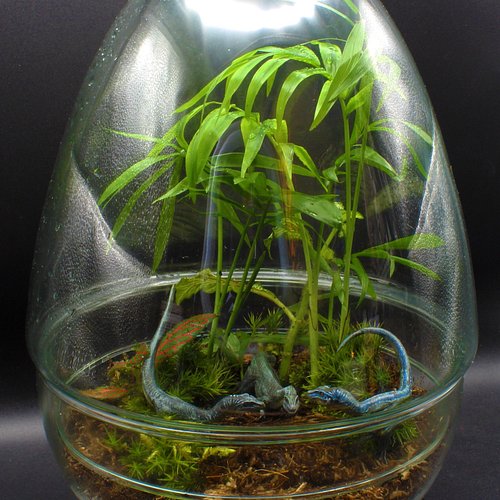 One of our latest Large Egg Terrariums features some lovely raptors out on the hunt. 

This is available to purchase in the U...