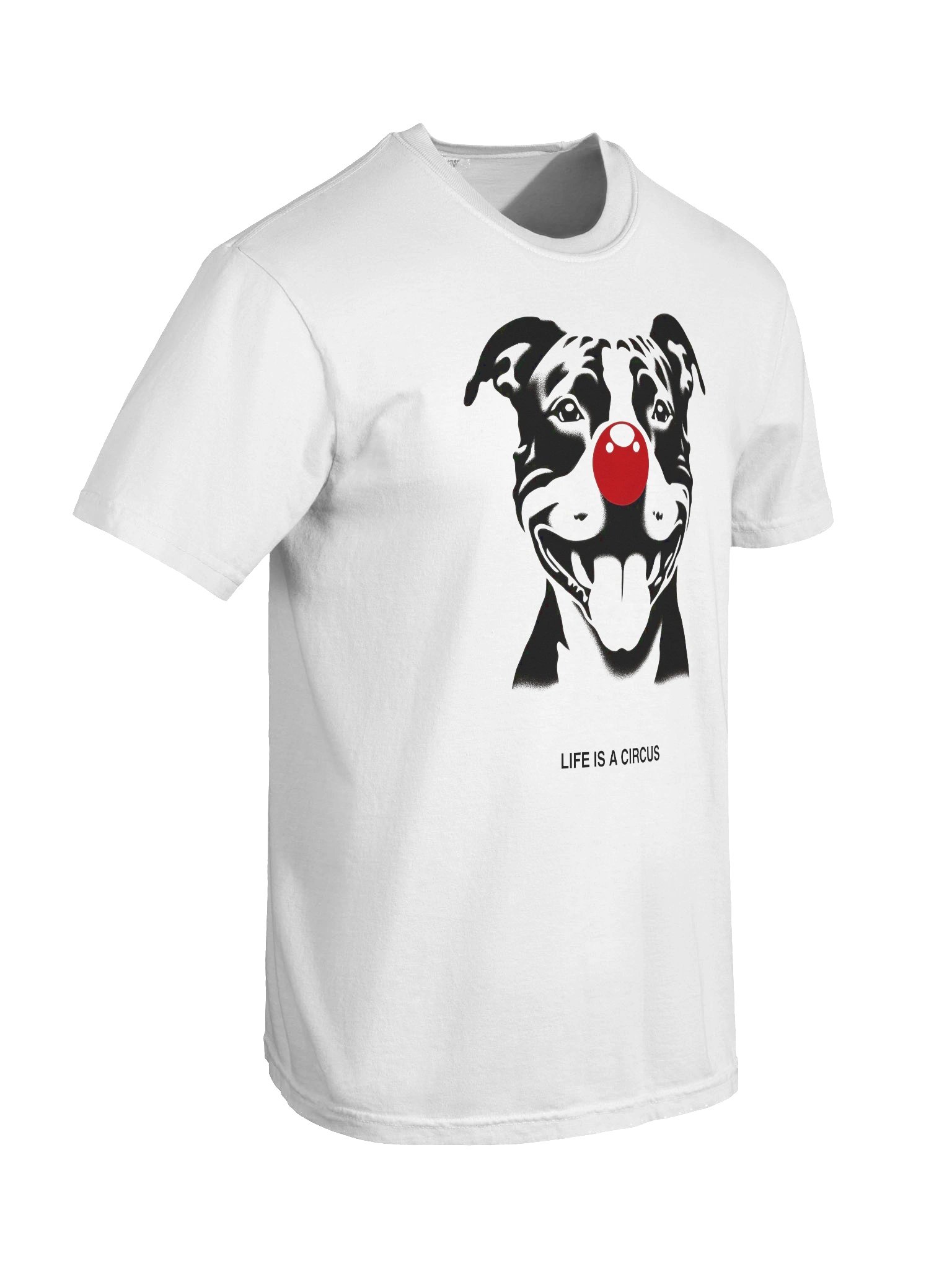 Ruby — Life is a Circus Garment-Dyed Tee product image (6)