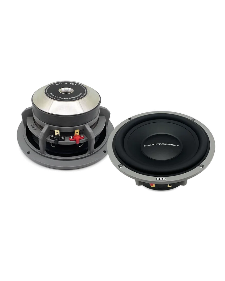 4.165 - 6.5 inch mid woofer product image (1)