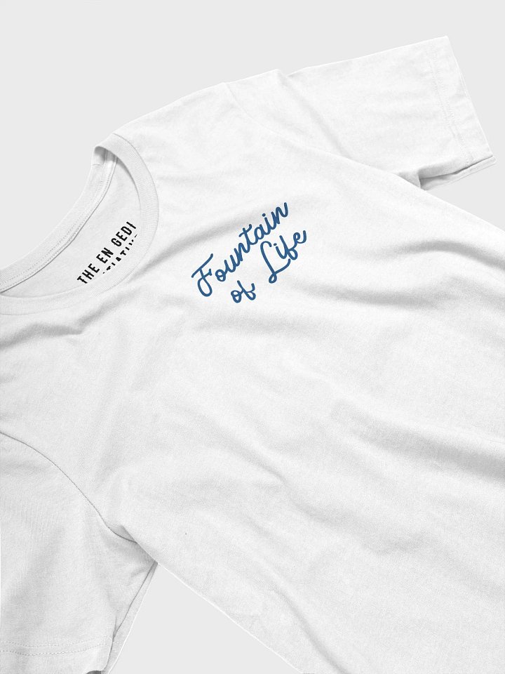 Psalms 36:9 T-Shirt product image (1)