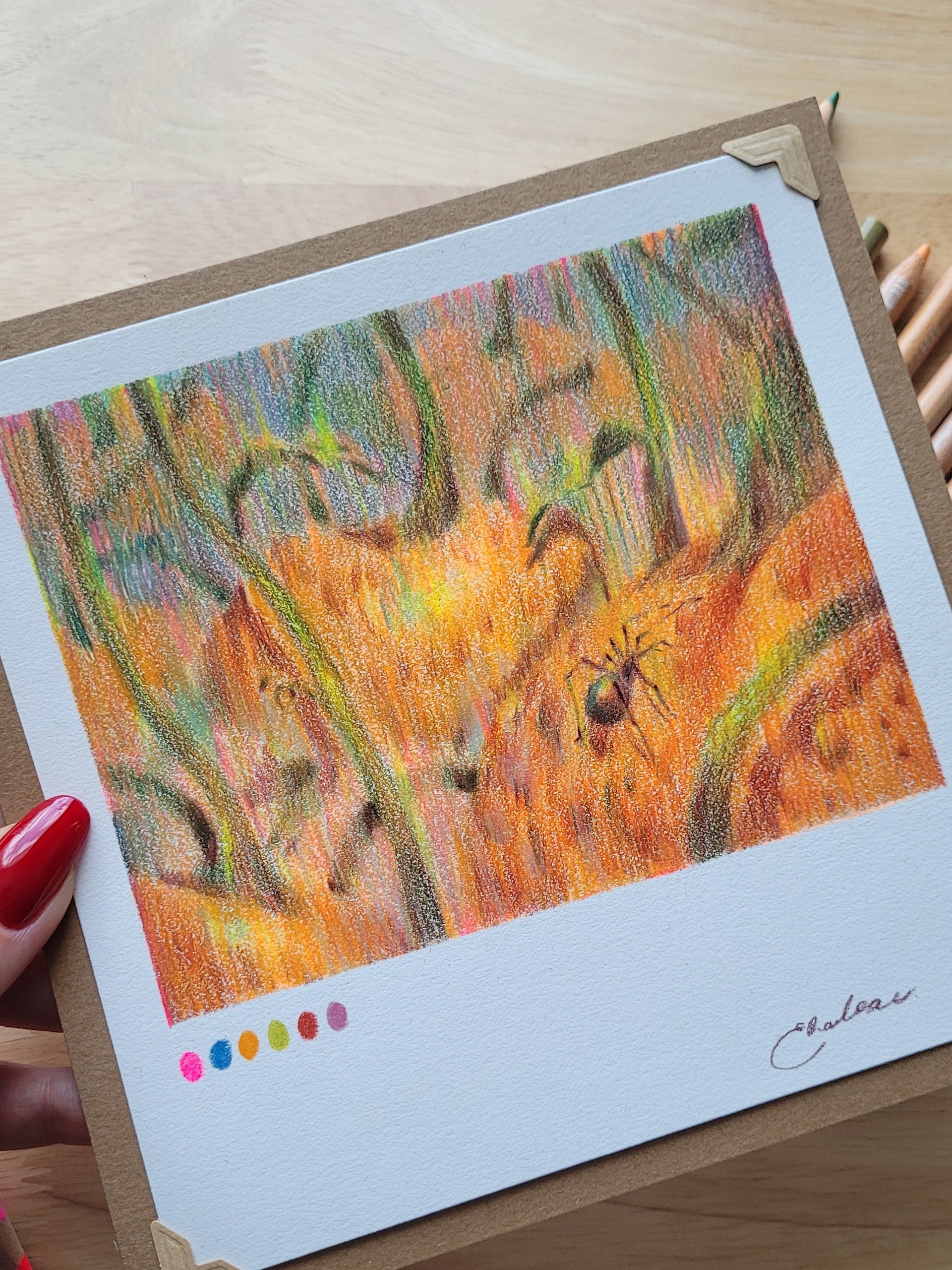 'Pumpkin Spider' Original illustration product image (5)
