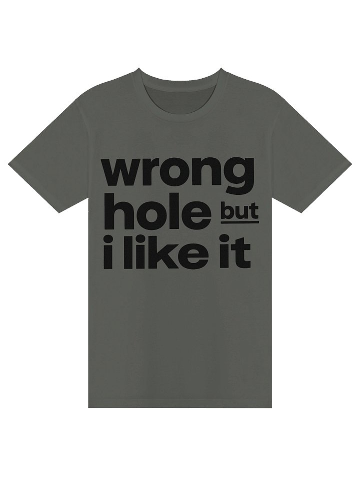 Wrong Hole But I Like It Tee product image (3)