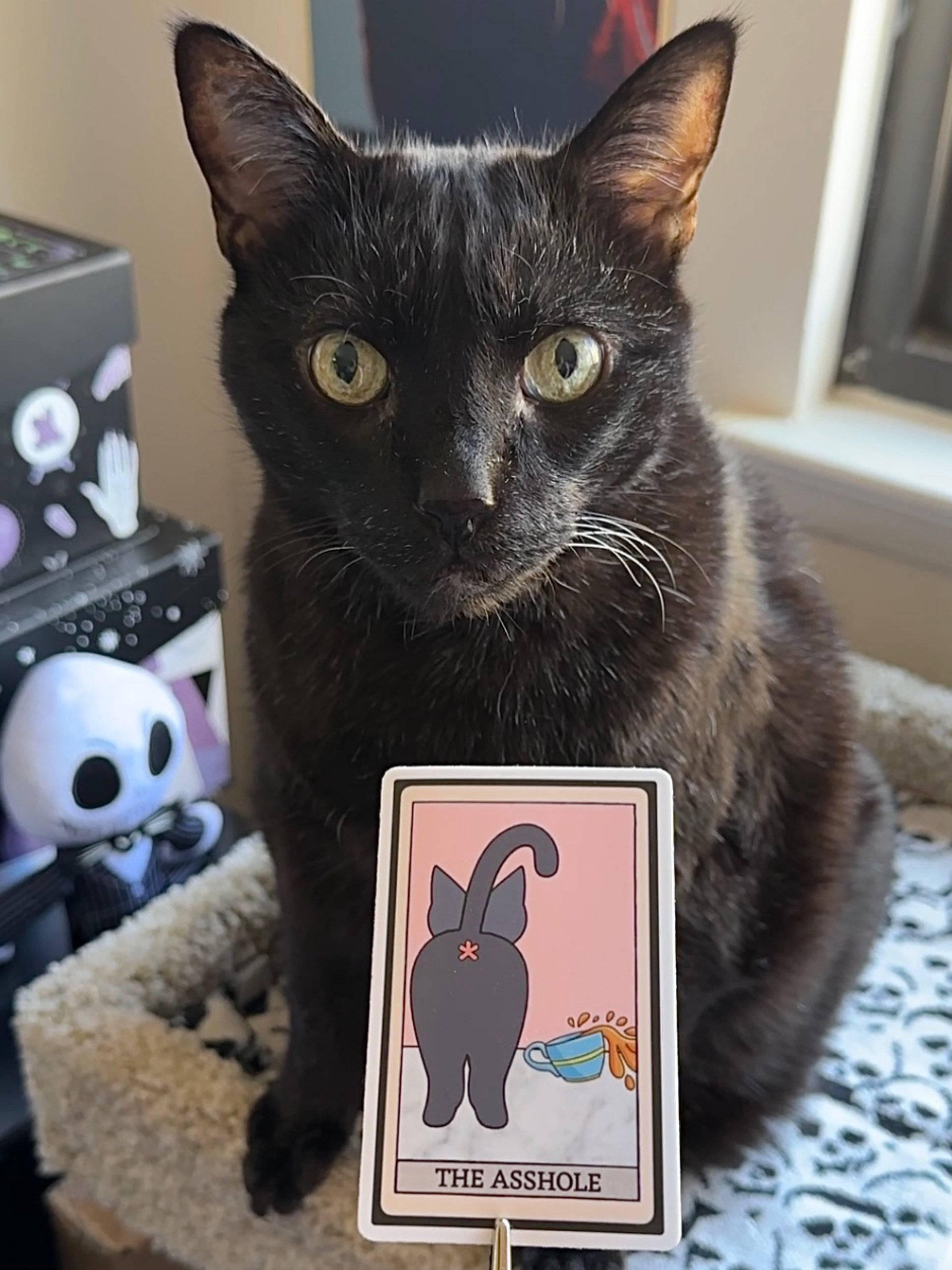 The Asshole tarot card sticker product image (2)