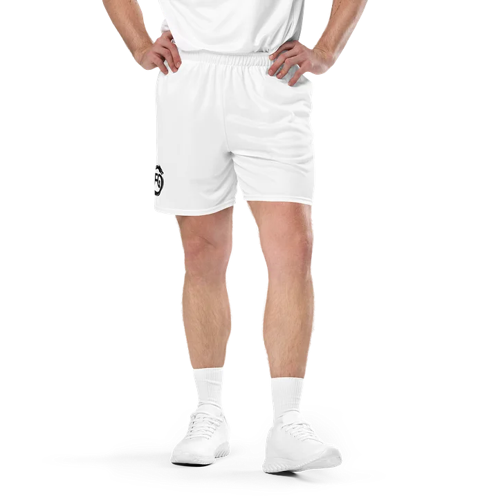 Funder Games Recycled Mesh Shorts product image (1)