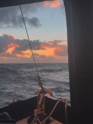 Sunsets and swell🙌#fishing #tiktok #salmon 