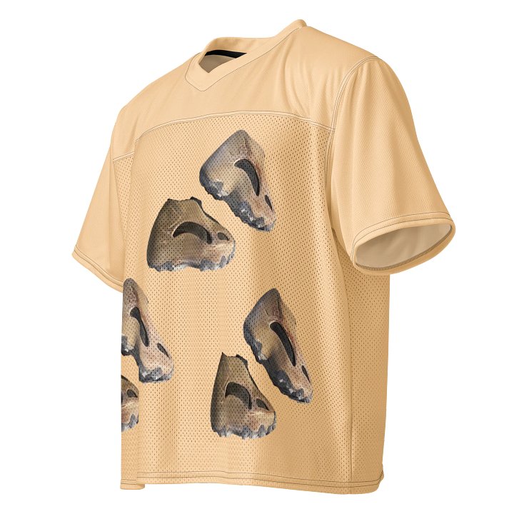 unreleased yeezys product image (1)
