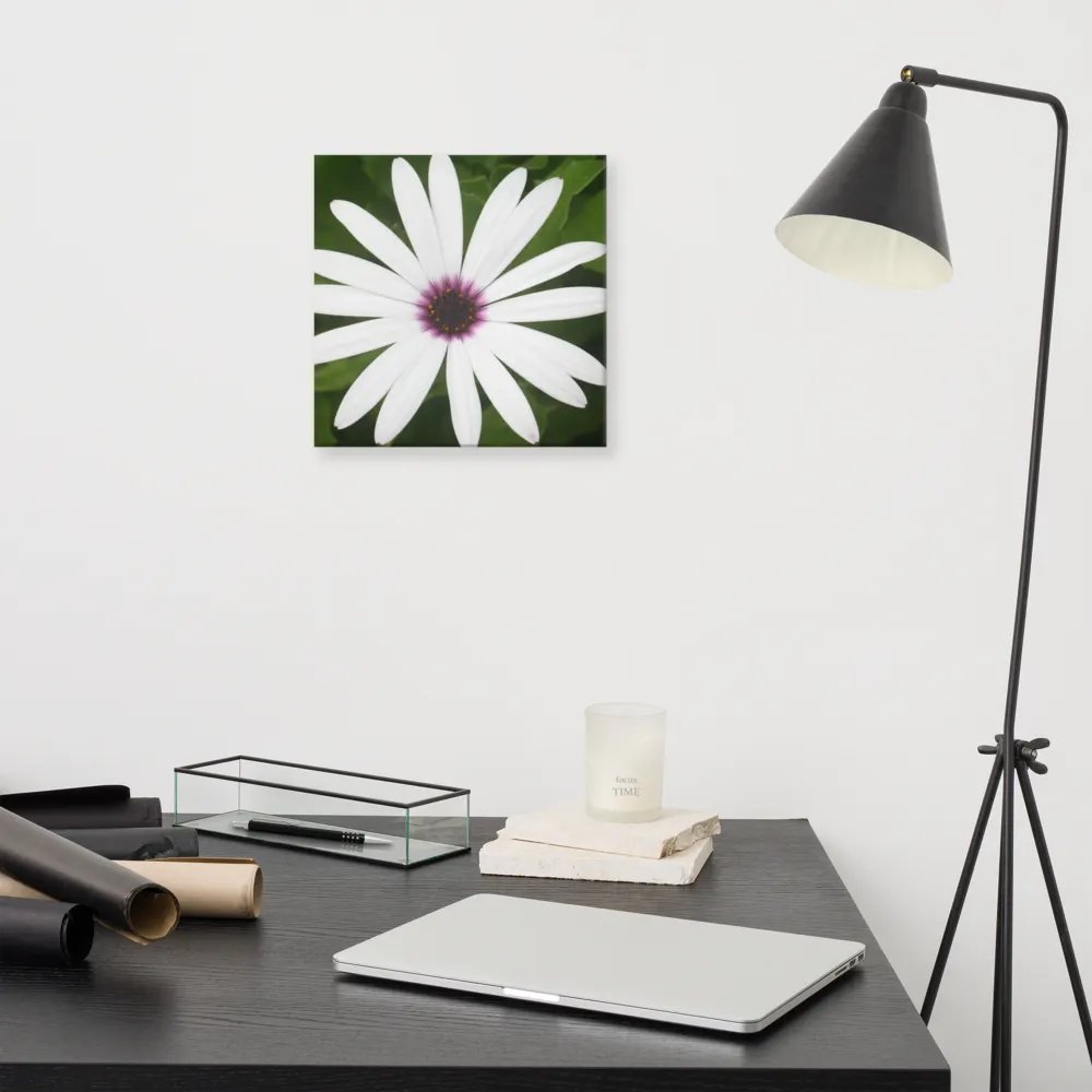 Daisy on Canvas product image (11)