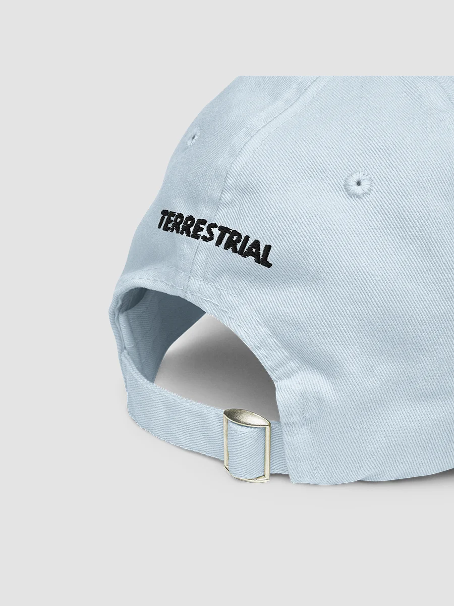 LIMITED EDITION - Grow Positivity Pastel Hat product image (3)