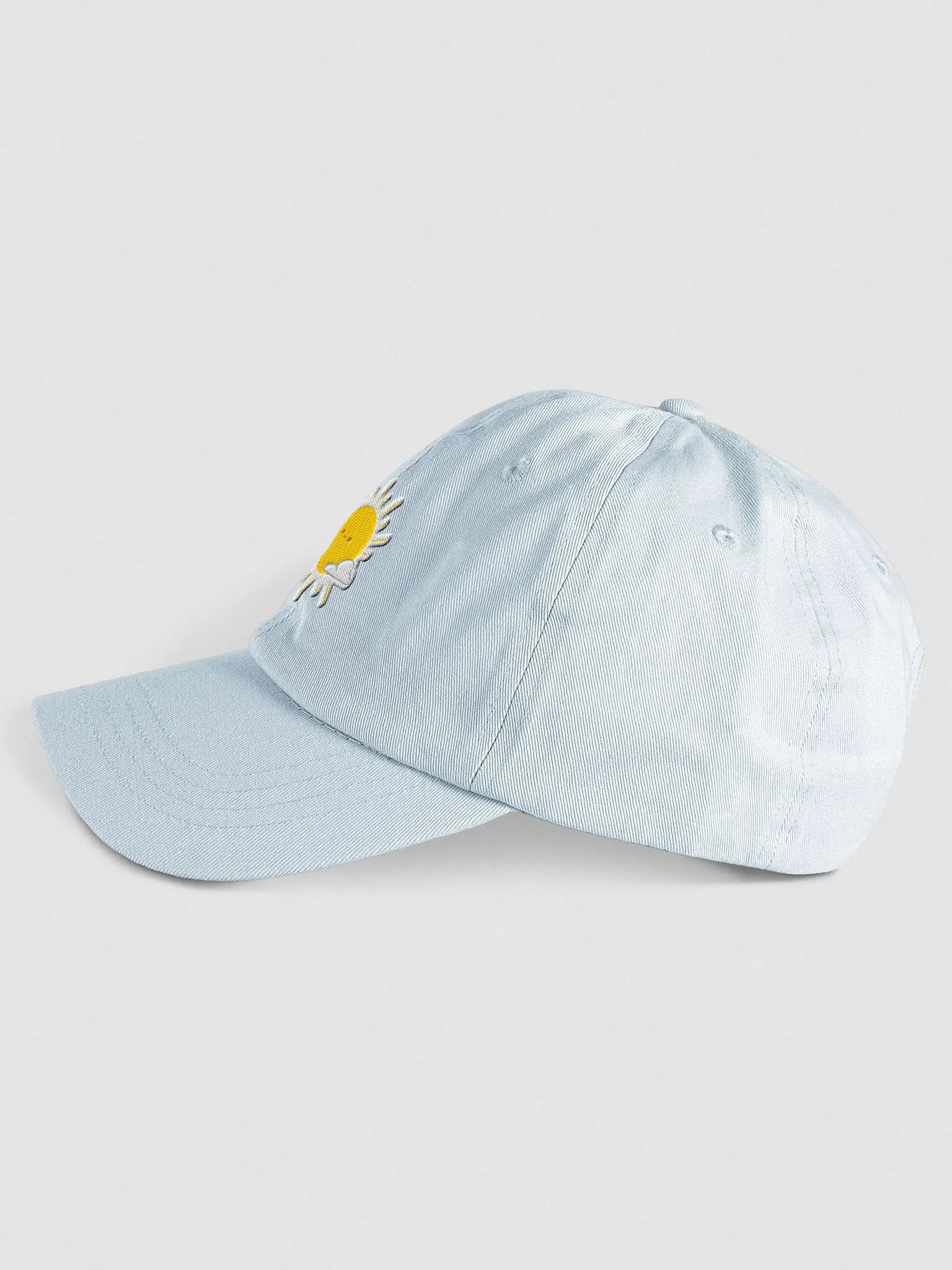 Joyful Habits Hat product image (5)