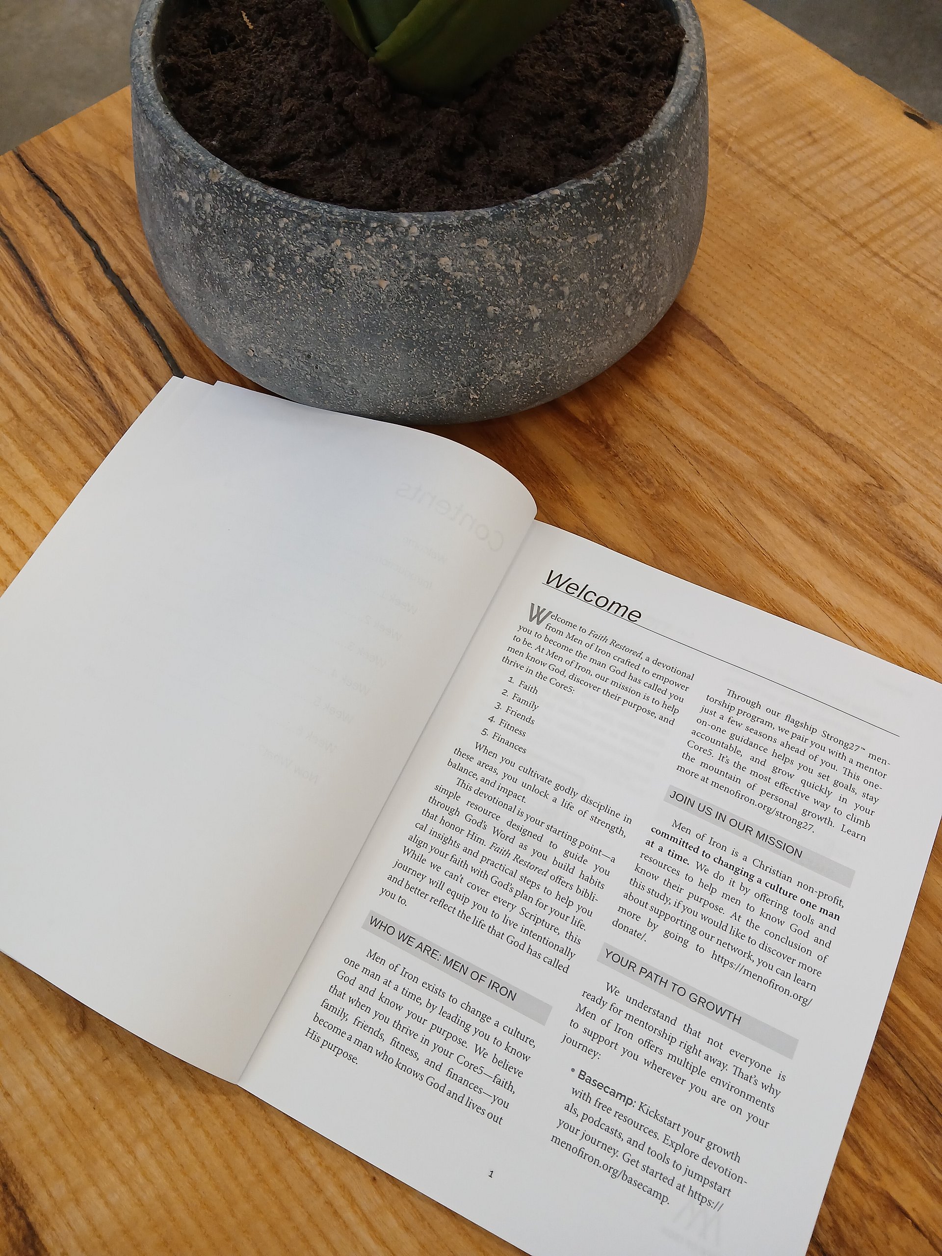 Faith Restored: A Six-Week Devotional to Know God and Know Your Purpose (Paperback Workbook) product image (3)