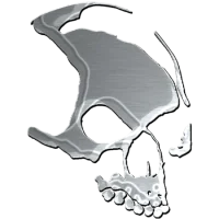 The Apollo Skull Armada