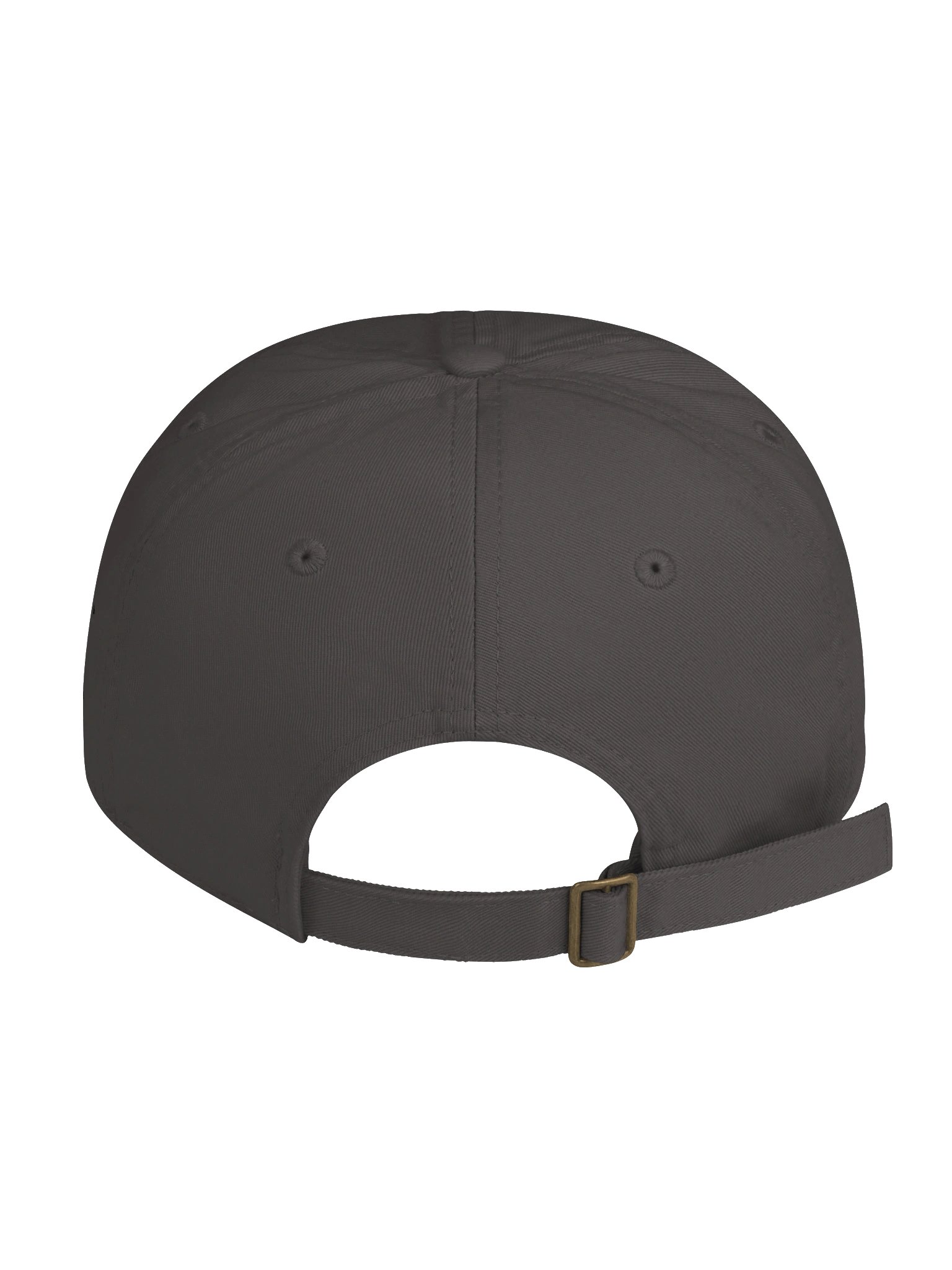 FS Dad hat product image (2)