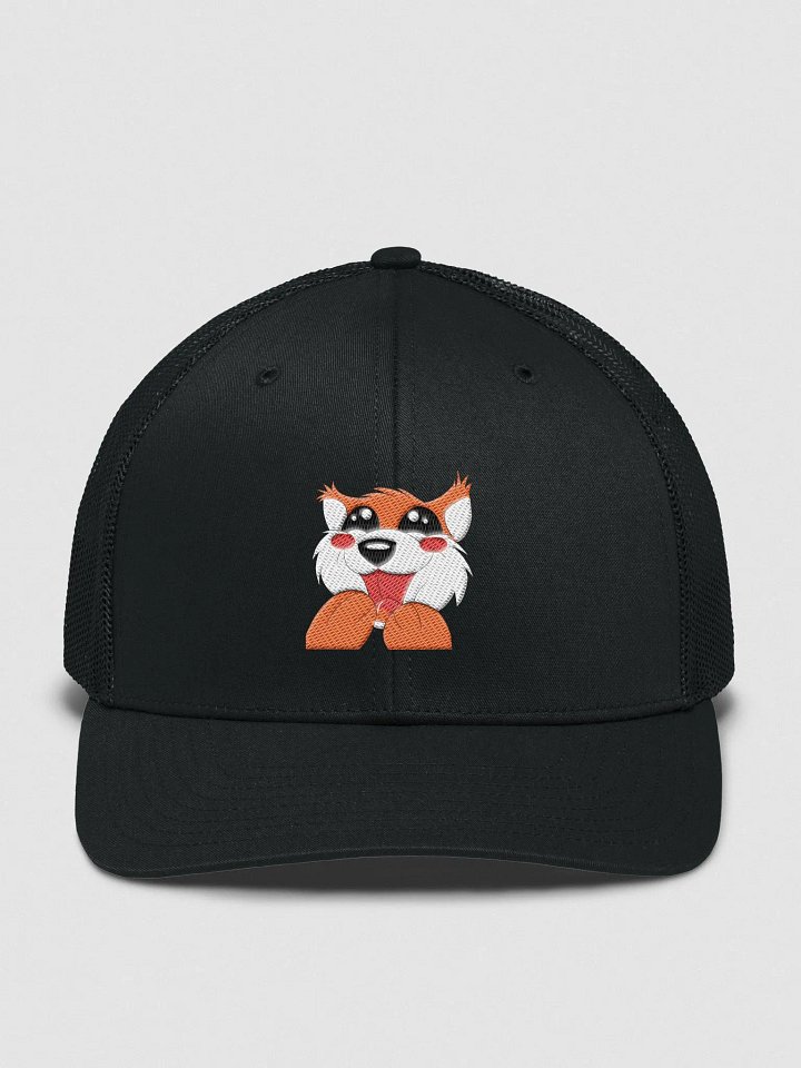 FidgPLS Hat product image (2)