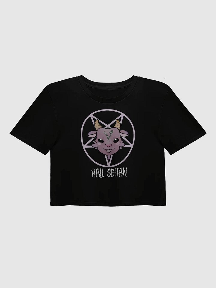 Hail Seitan Metalcore Crop tee product image (1)