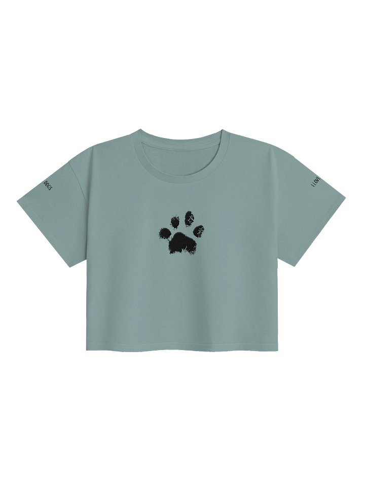 Benelli Beans - Embroidered Crop Top product image (1)