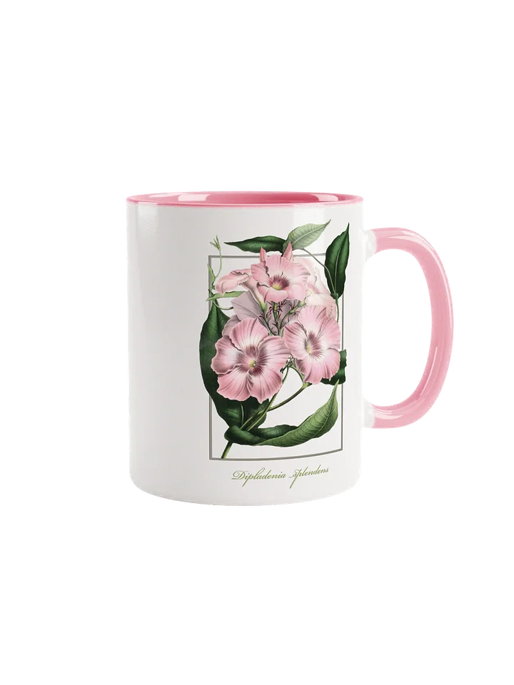 Dipladenia splendens Flower - ceramic mug product image (1)